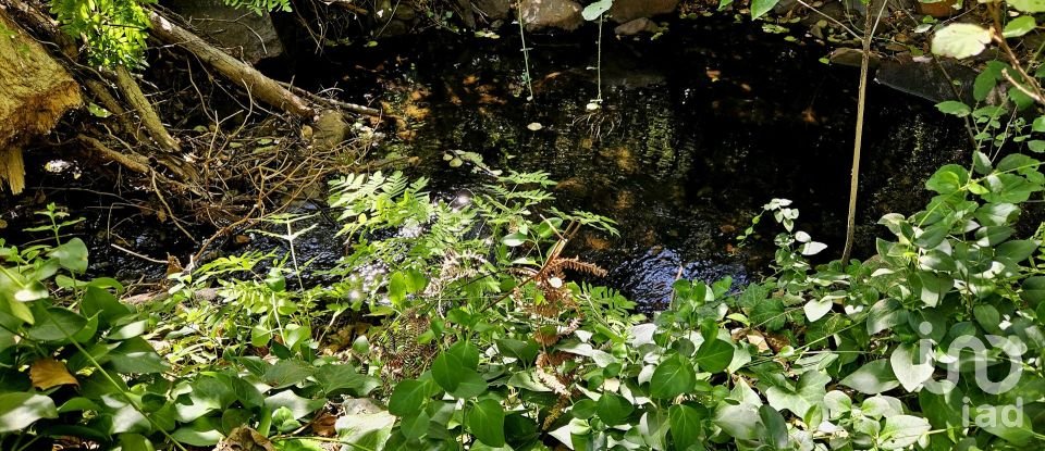 Terreno misto em Monchique de 22 800 m²