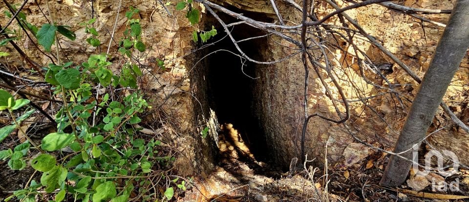 Terreno misto em Monchique de 22 800 m²