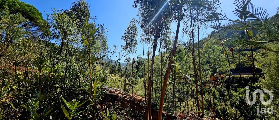 Terreno misto em Monchique de 22 800 m²