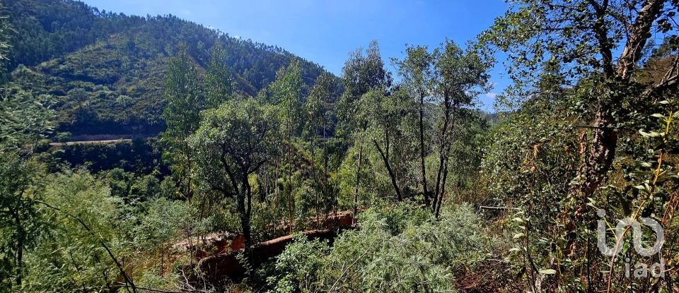 Terreno misto em Monchique de 22 800 m²