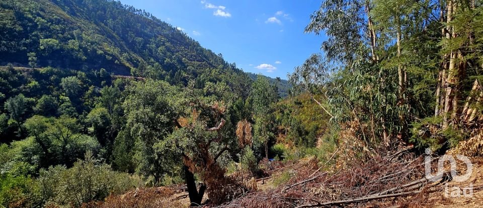 Terreno misto em Monchique de 22 800 m²