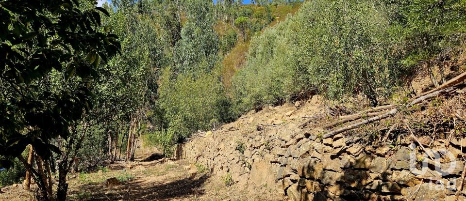 Terreno misto em Monchique de 22 800 m²