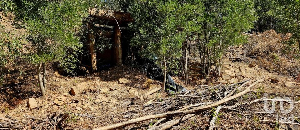 Terreno misto em Monchique de 22 800 m²