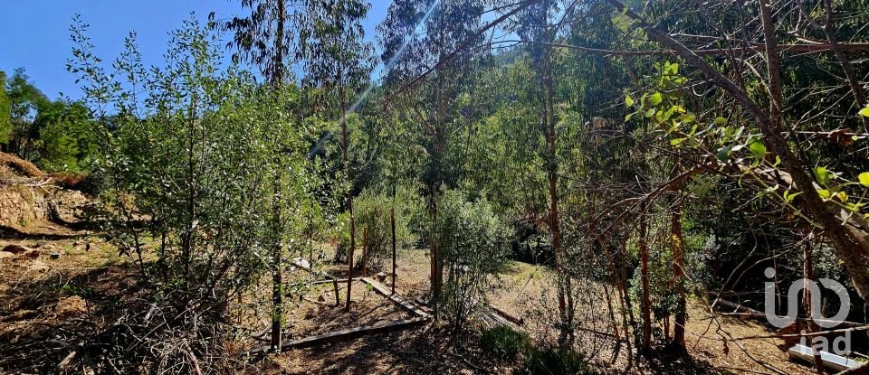 Terreno misto em Monchique de 22 800 m²