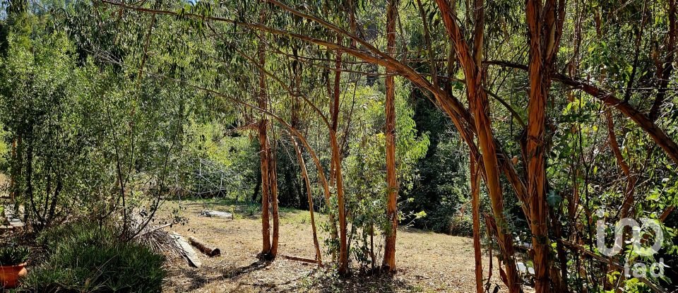 Terreno misto em Monchique de 22 800 m²