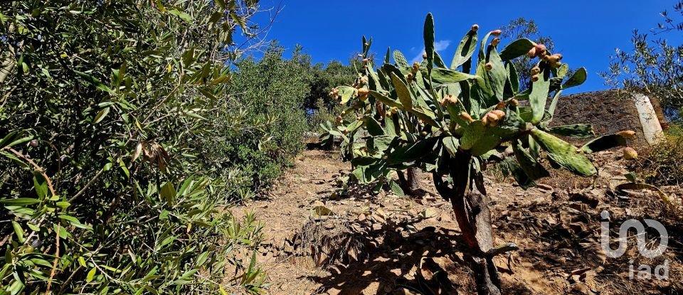 Terreno misto em Monchique de 22 800 m²