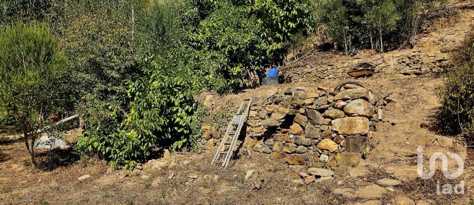 Terreno misto em Monchique de 22 800 m²