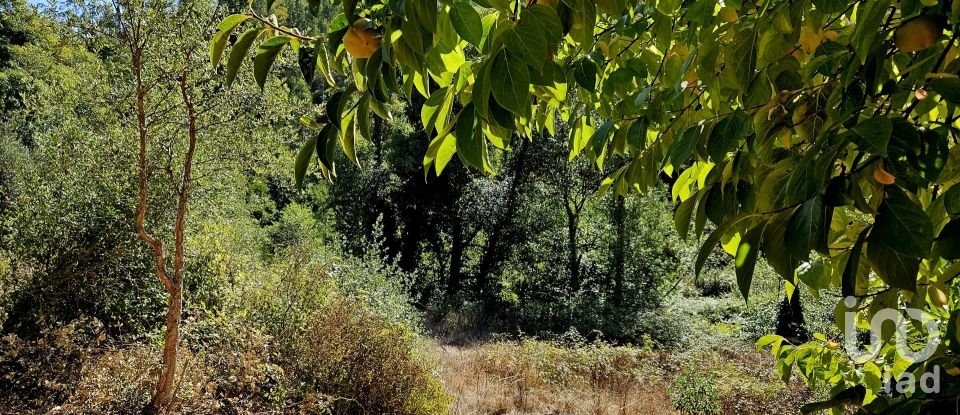 Terreno misto em Monchique de 22 800 m²