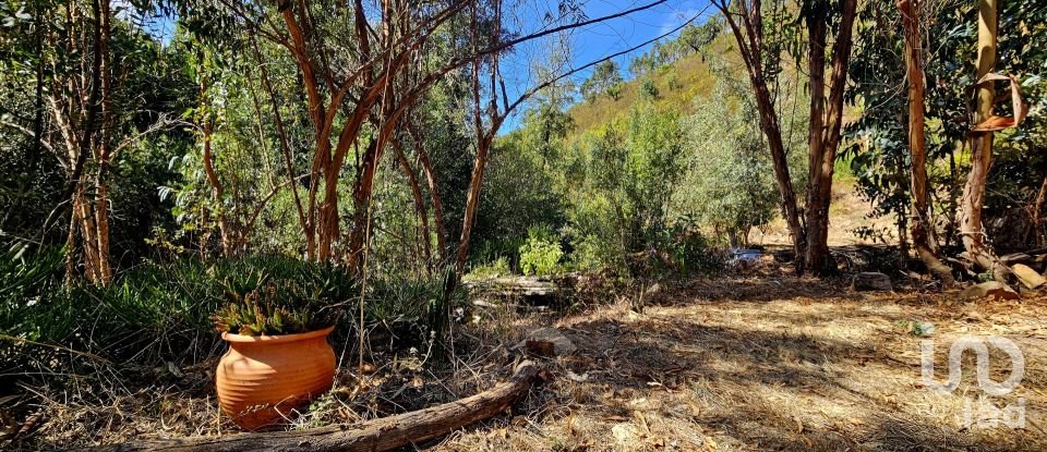 Terreno misto em Monchique de 22 800 m²