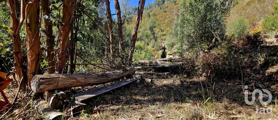 Terreno misto em Monchique de 22 800 m²