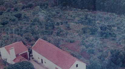 Maison T3 à Usseira de 123 m²