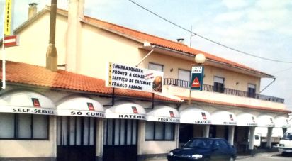 Appartement T2 à Muge de 103 m²