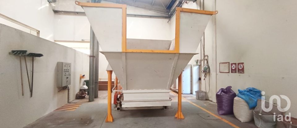 Espaço Comercial em Gavião e Atalaia de 6 430 m²