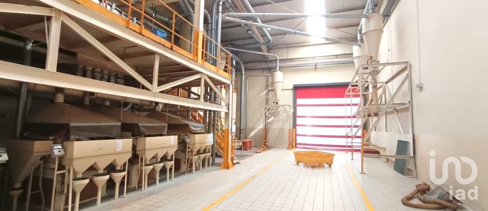 Espaço Comercial em Gavião e Atalaia de 6 430 m²