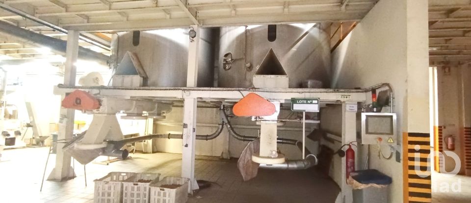 Espaço Comercial em Gavião e Atalaia de 6 430 m²