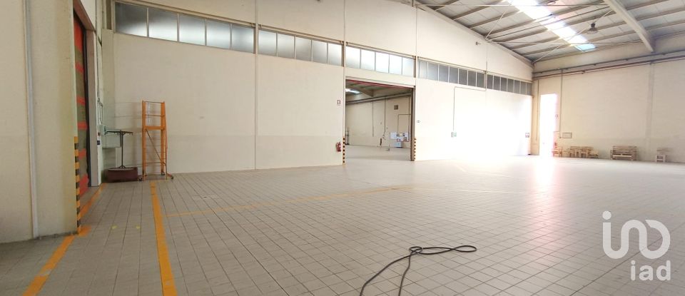 Espaço Comercial em Gavião e Atalaia de 6 430 m²