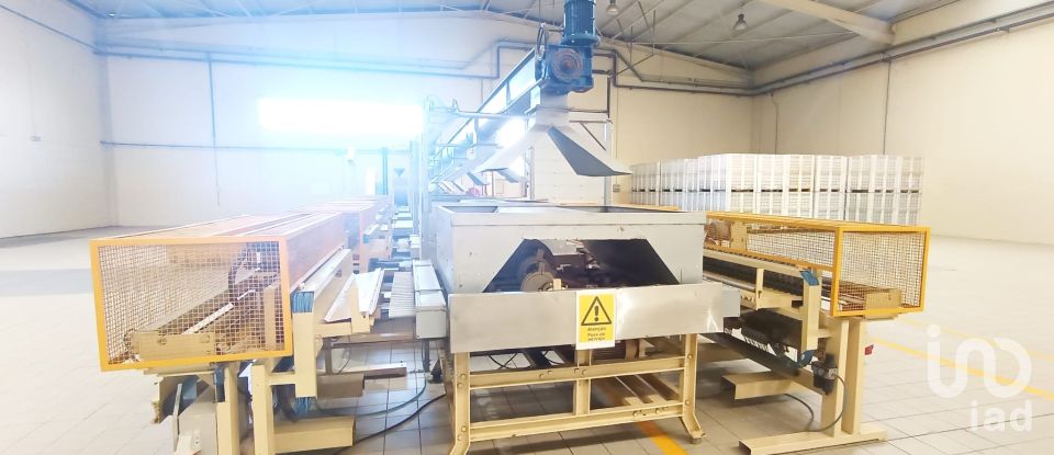 Espaço Comercial em Gavião e Atalaia de 6 430 m²