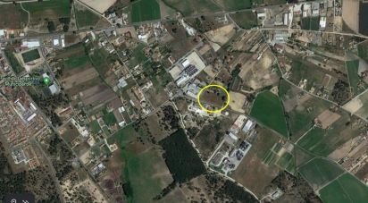 Terrain à bâtir à Salvaterra de Magos e Foros de Salvaterra de 5 120 m²