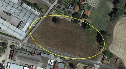 Terrain à bâtir à Salvaterra de Magos e Foros de Salvaterra de 5 120 m²
