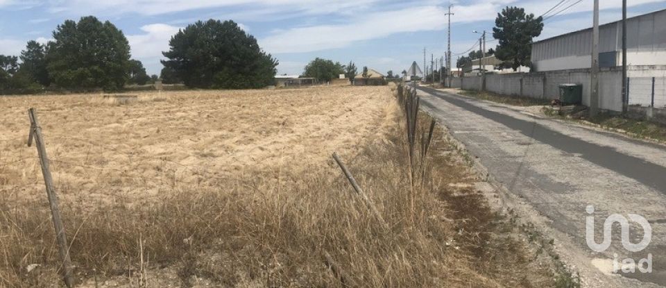 Terreno urbano em Salvaterra de Magos e Foros de Salvaterra de 5 120 m²
