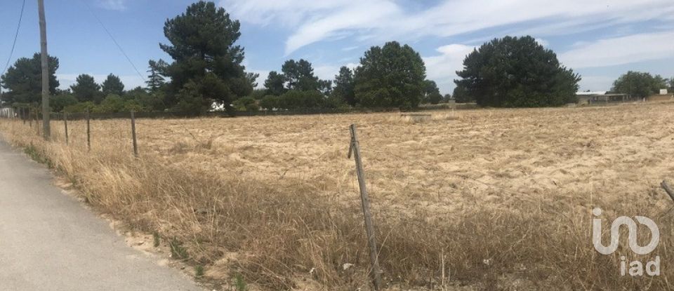 Terreno urbano em Salvaterra de Magos e Foros de Salvaterra de 5 120 m²