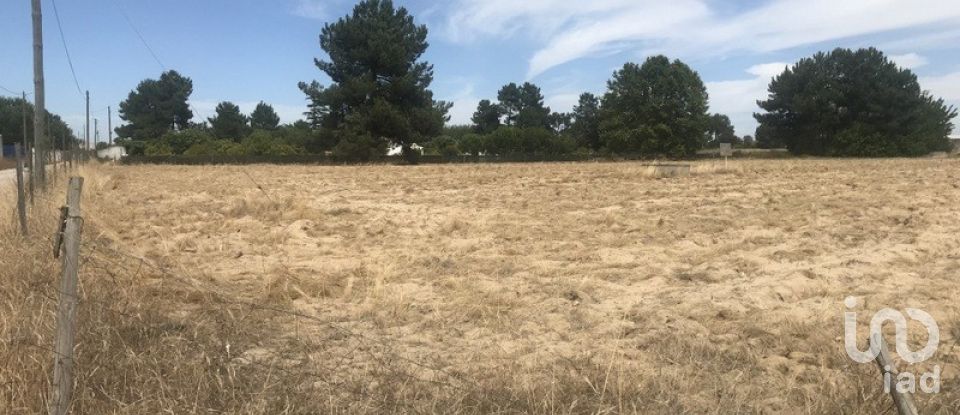 Terreno urbano em Salvaterra de Magos e Foros de Salvaterra de 5 120 m²