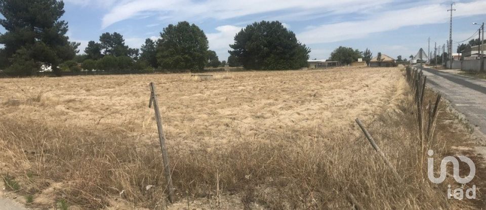 Terreno urbano em Salvaterra de Magos e Foros de Salvaterra de 5 120 m²