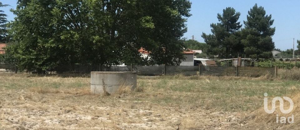 Terreno urbano em Salvaterra de Magos e Foros de Salvaterra de 5 120 m²