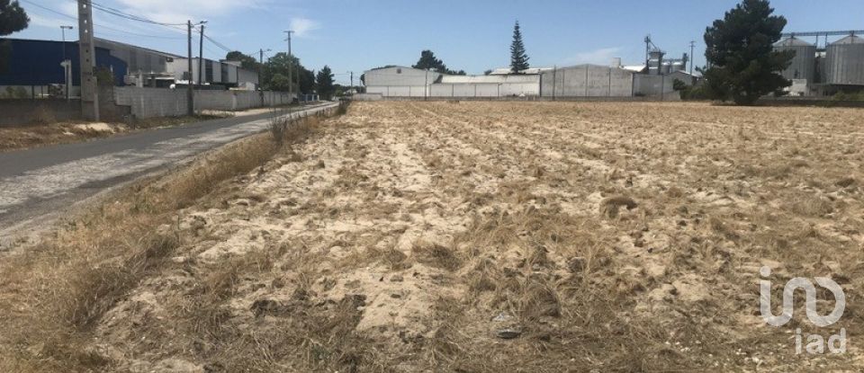 Terreno urbano em Salvaterra de Magos e Foros de Salvaterra de 5 120 m²