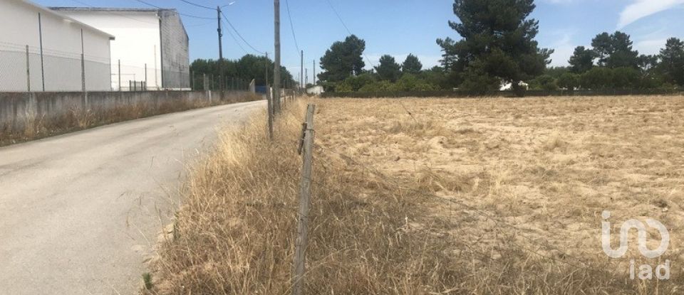 Terreno urbano em Salvaterra de Magos e Foros de Salvaterra de 5 120 m²