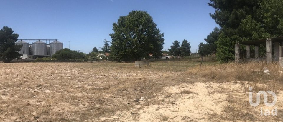 Terreno urbano em Salvaterra de Magos e Foros de Salvaterra de 5 120 m²