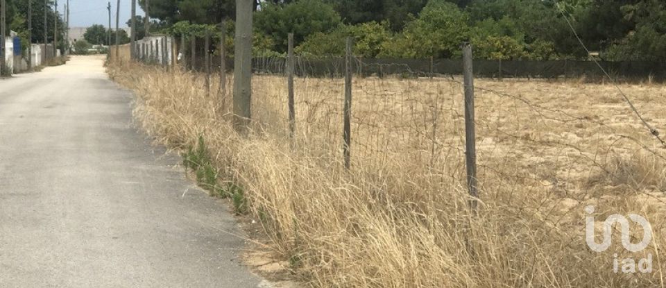 Terreno urbano em Salvaterra de Magos e Foros de Salvaterra de 5 120 m²
