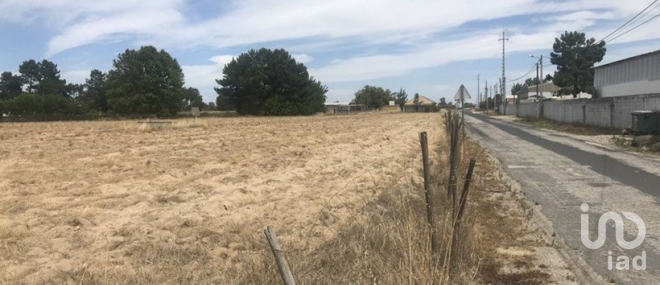 Terreno urbano em Salvaterra de Magos e Foros de Salvaterra de 5 120 m²