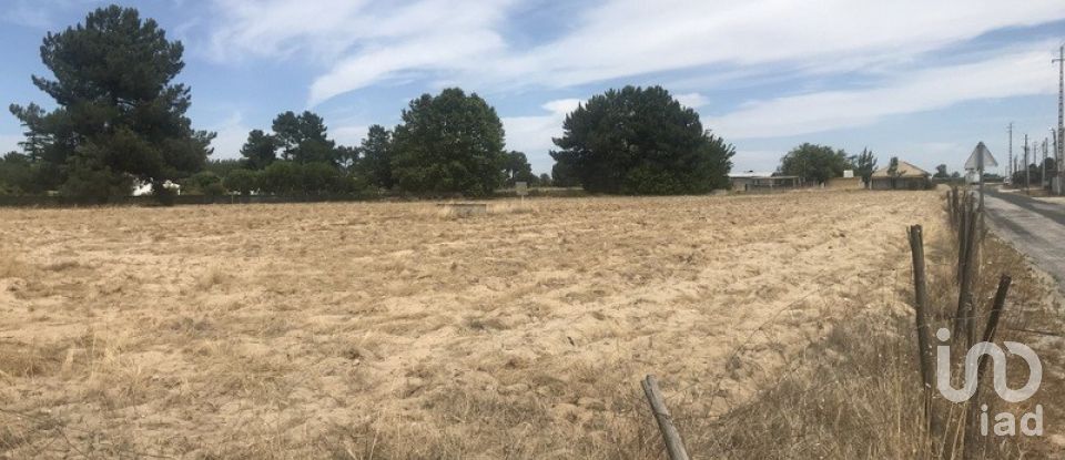 Terreno urbano em Salvaterra de Magos e Foros de Salvaterra de 5 120 m²