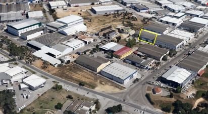 Murs commerciaux à Santarém, Santa Iria da Ribeira de Santarém, Santarém e São Nicolau de 250 m²