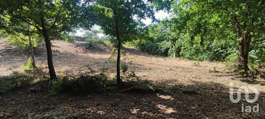 Terreno em Romarigães de 2 310 m²