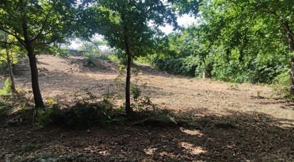 Land in Romarigães of 2,310 m²