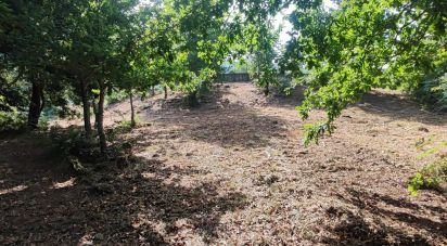 Land in Romarigães of 2,310 m²