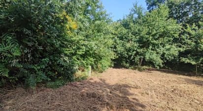 Land in Romarigães of 2,310 m²