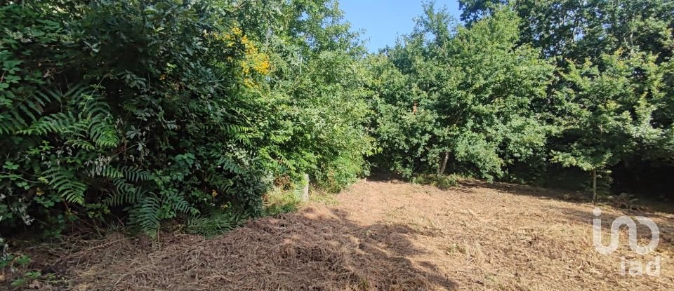 Terreno em Romarigães de 2 310 m²