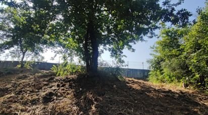 Land in Romarigães of 2,310 m²