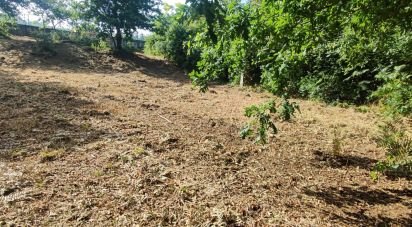 Land in Romarigães of 2,310 m²
