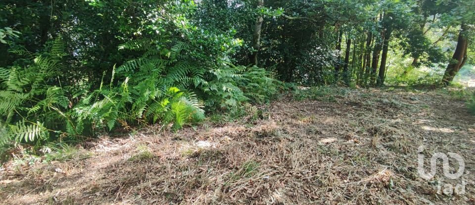 Terreno em Romarigães de 2 310 m²