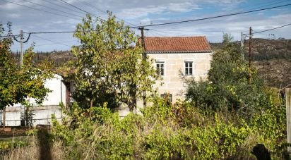 Maison T0 à Seixo da Beira de 222 m²