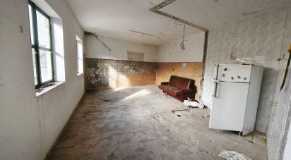 Maison T0 à Seixo da Beira de 222 m²