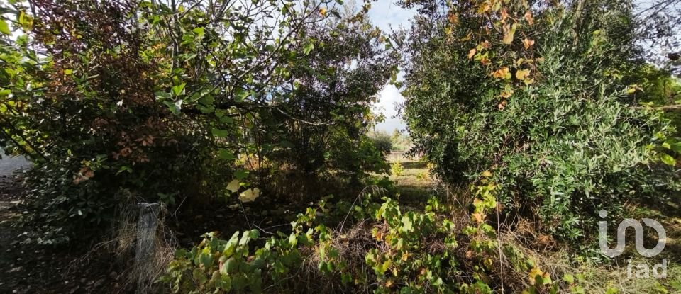 Moradia T0 em Seixo da Beira de 222 m²