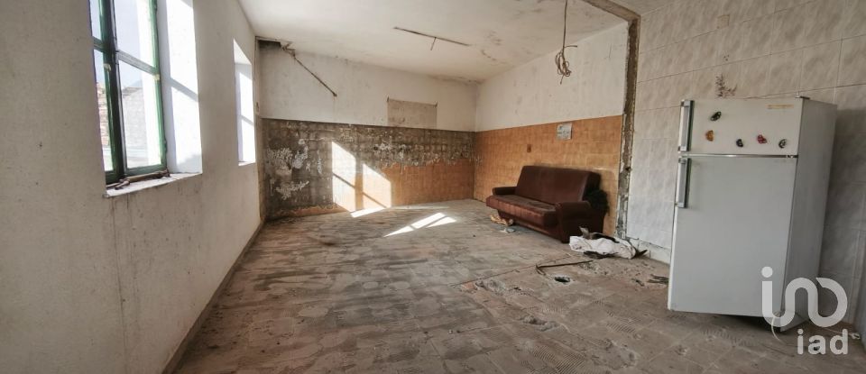 Moradia T0 em Seixo da Beira de 222 m²