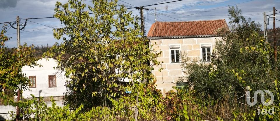 Moradia T0 em Seixo da Beira de 222 m²