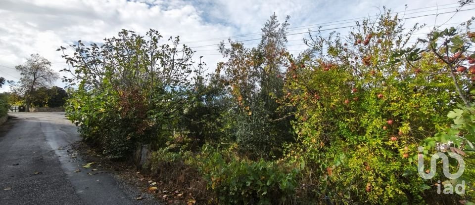 Moradia T0 em Seixo da Beira de 222 m²