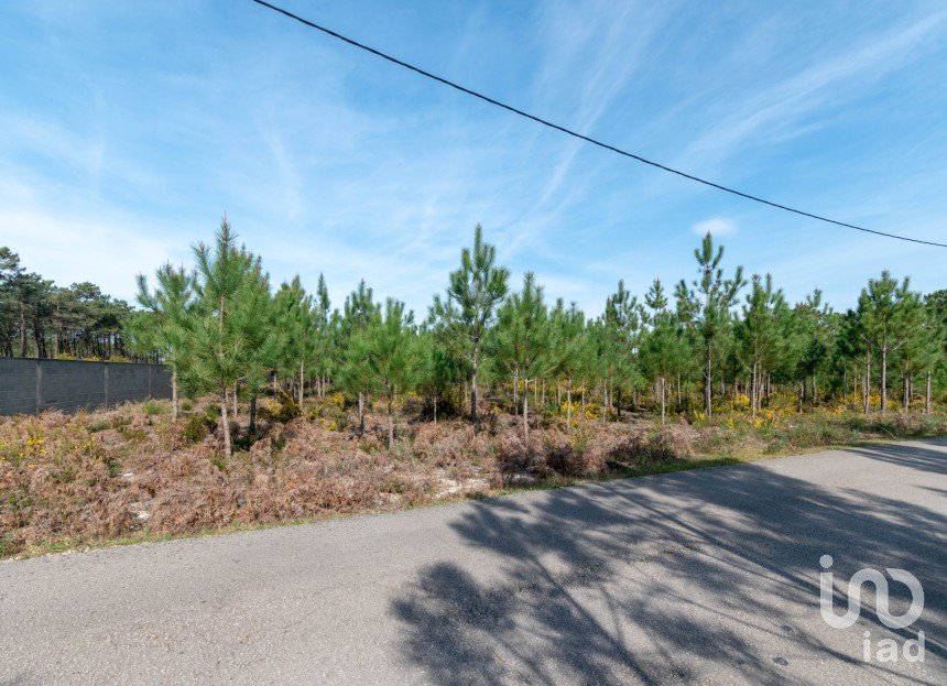 Terreno rústico em Marinha Grande de 19 100 m²